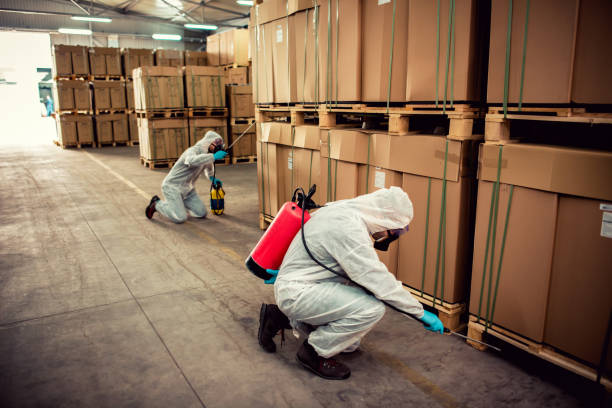 Best Rat Extermination Near Me  in Chadwicks, NY