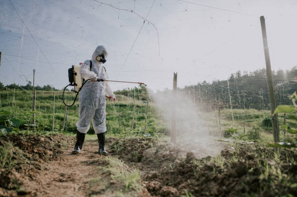 Best Local Pest Control Services  in Chadwicks, NY